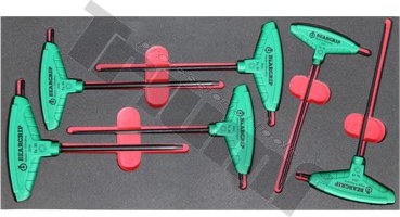 Modul L kľúčov Beargrip, profil Torx, 6 dielny